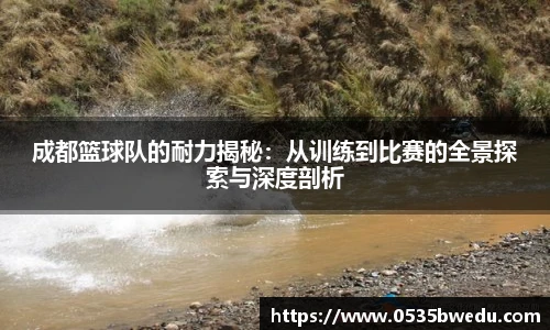 成都篮球队的耐力揭秘：从训练到比赛的全景探索与深度剖析