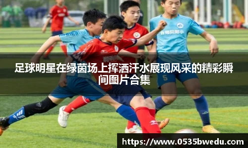 足球明星在绿茵场上挥洒汗水展现风采的精彩瞬间图片合集